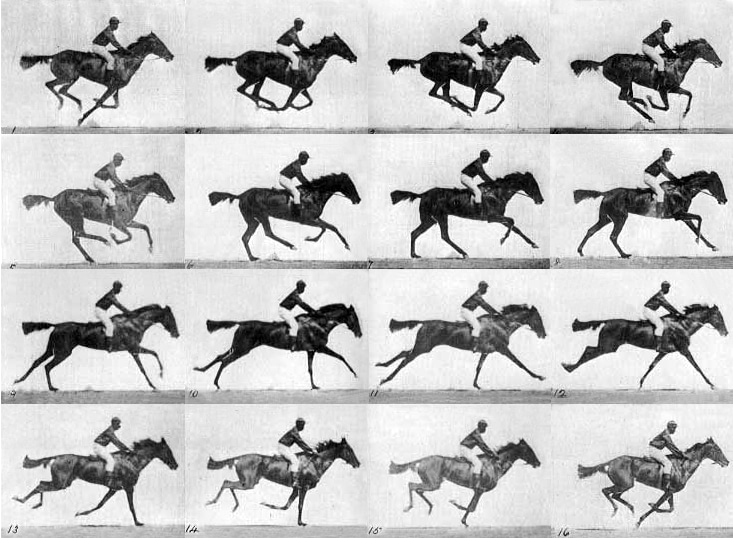 fotogramas por segundo muybridge